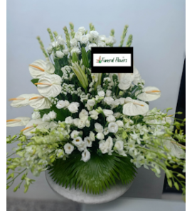 BSK-FUNERAL28 BSK-FUNERAL28