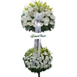 FUNERAL-2L36