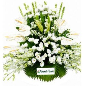 BSK-FUNERAL28