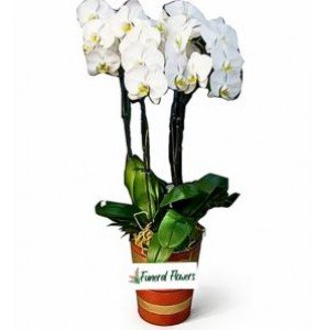 VASE-FUNERAL08