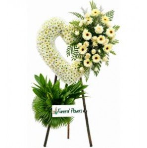 HEART-FNRL08